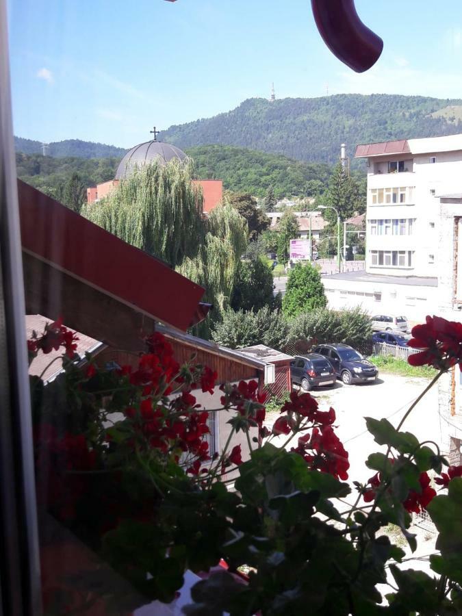 Felicita Apartamento Braşov Exterior foto